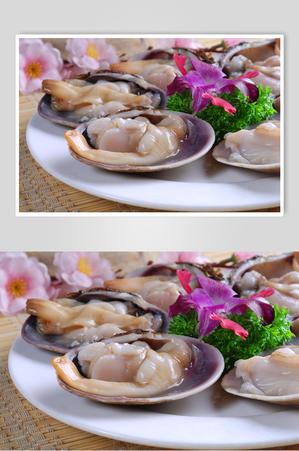 美味鲍鱼海鲜生鲜图片素材