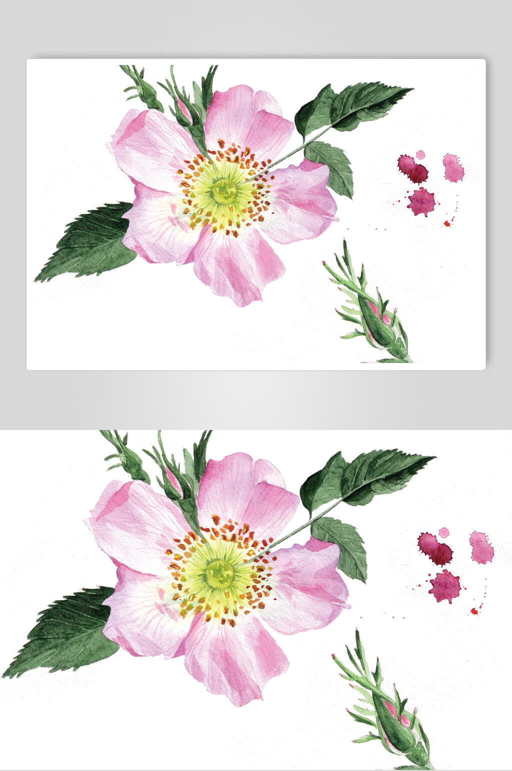 清新鲜花玫瑰花手绘素材素材