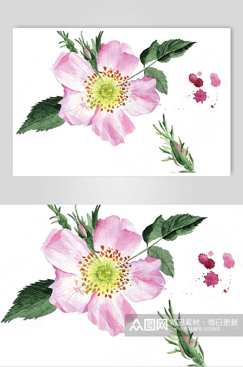 清新鲜花玫瑰花手绘素材素材