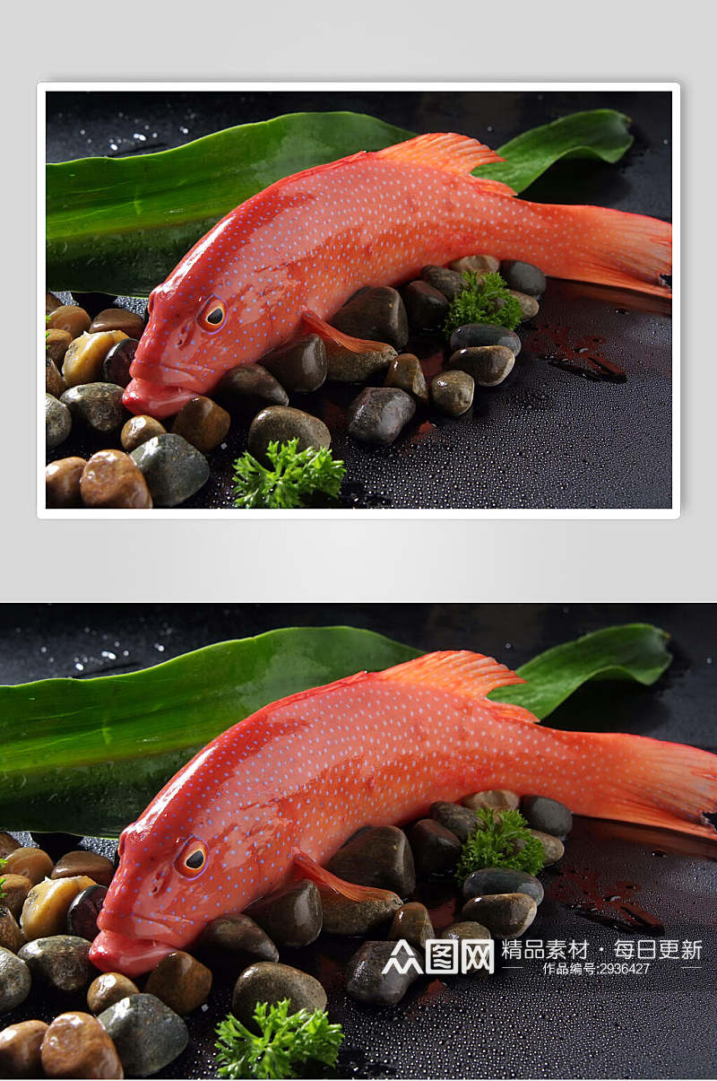 红鱼海鲜生鲜高清图片素材