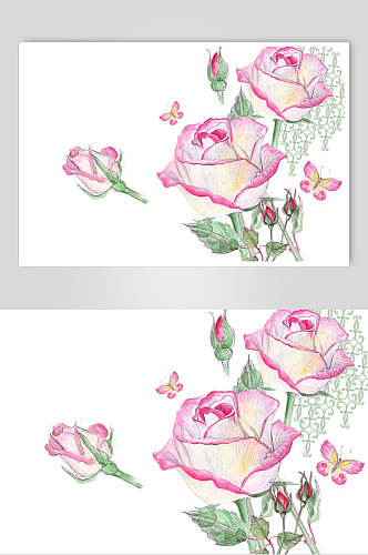 清新花卉玫瑰花手绘素材