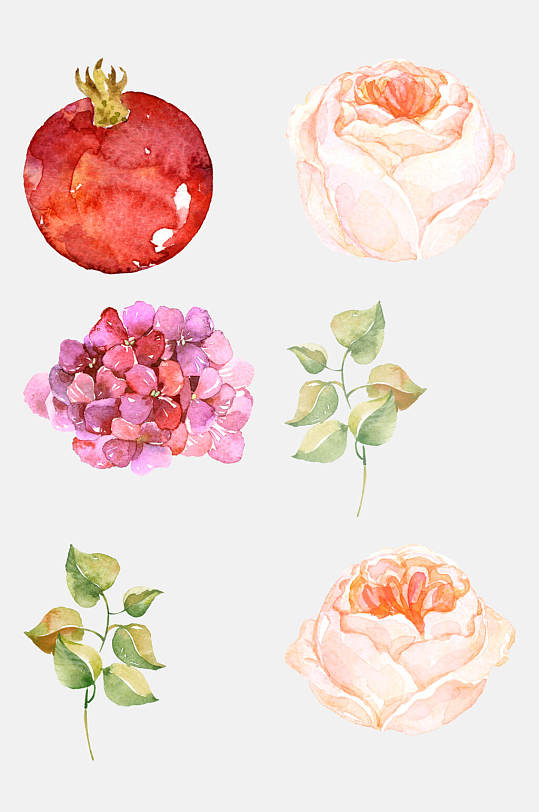 水彩手绘花朵鲜花花卉植物免抠设计素材