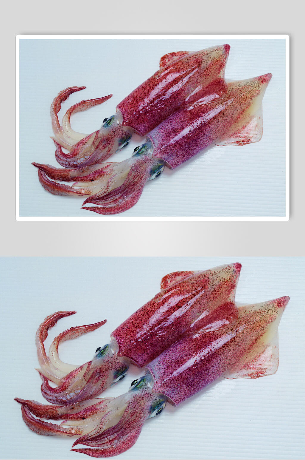 鱿鱼海鲜美食摄影图片素材