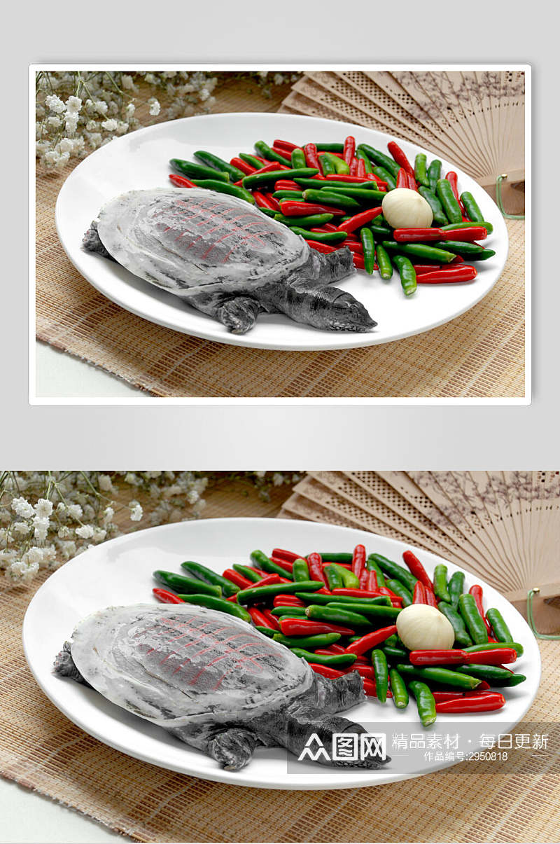 甲鱼海鲜生鲜食品摄影图片素材
