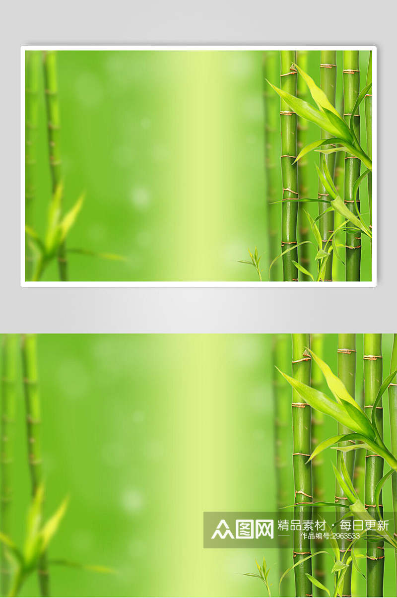 唯美绿色竹子竹林风景图片素材