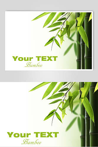 清新简洁绿色竹林风景图片