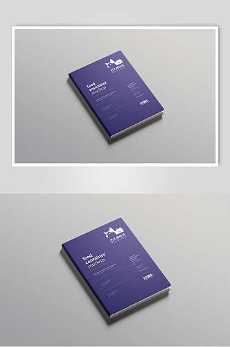蓝色品质质感书籍杂志封面VI设计展示样机