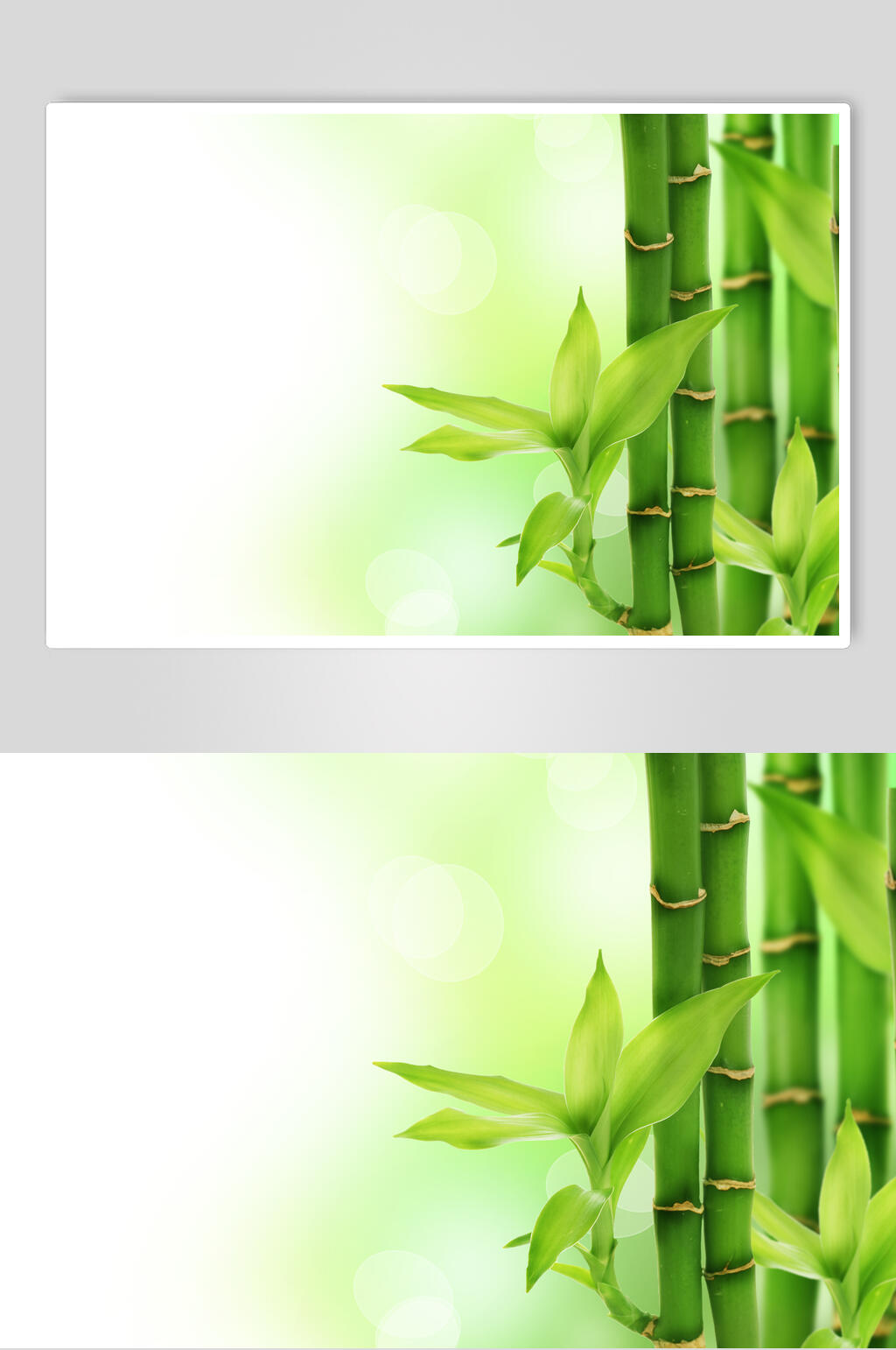 渐变绿色竹林风景图片素材