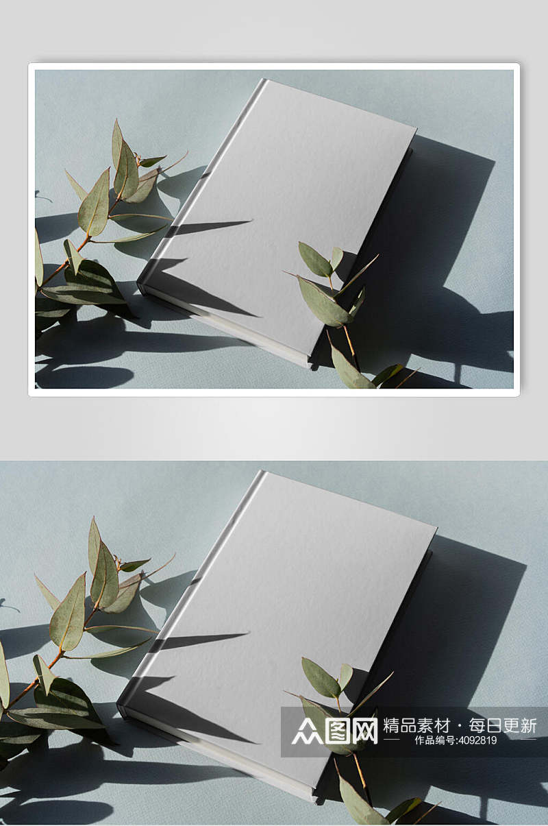 植物阴影高清留白画册封面样机素材