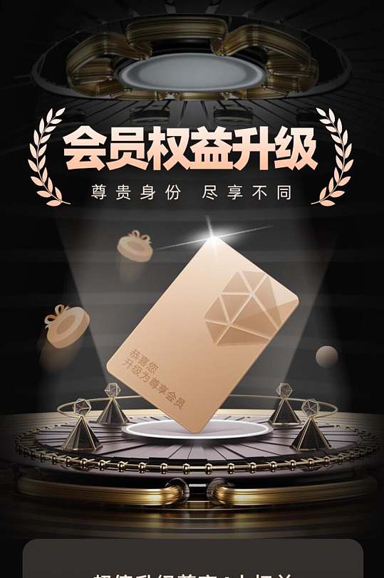 黑金会员权益升级手机h长图