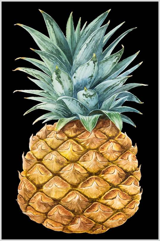 水果菠萝插画矢量素材