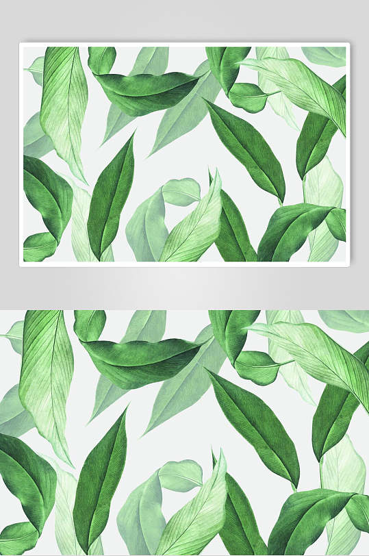 清新绿植树叶矢量素材