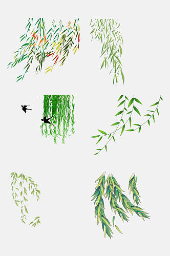 清新柳树枝条植物免抠素材