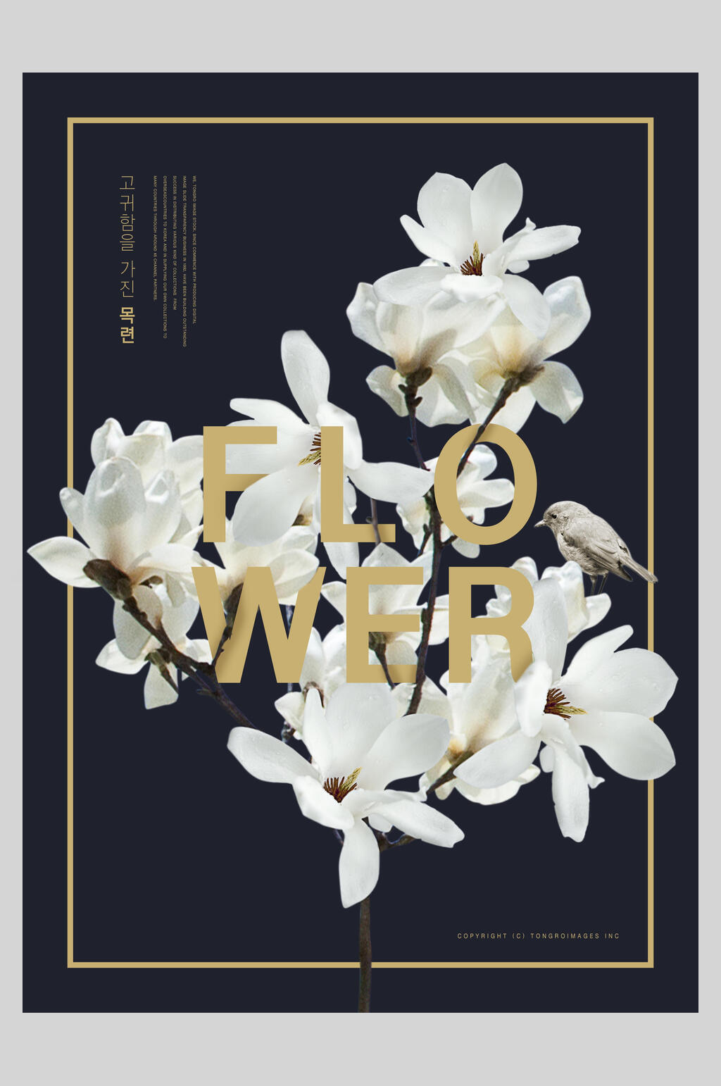 清新白色鲜花花卉宣传海报素材