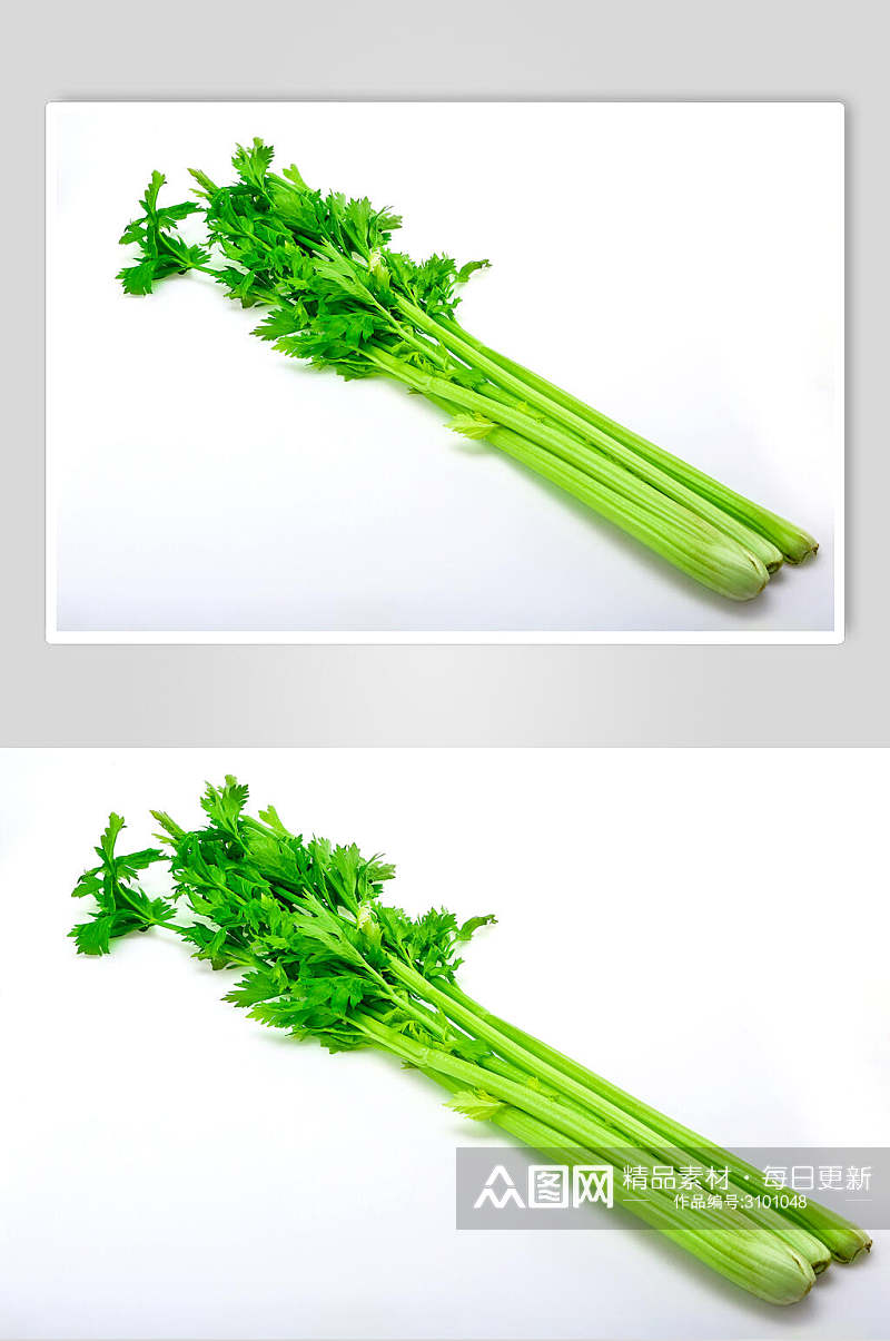 新鲜芹菜蔬菜图片素材
