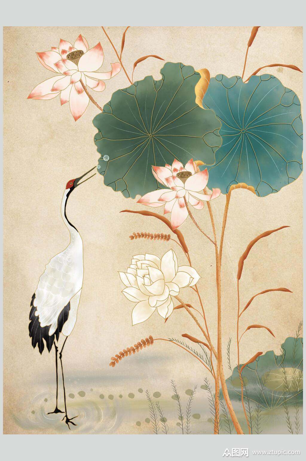 中国风仙鹤荷花插画素材素材