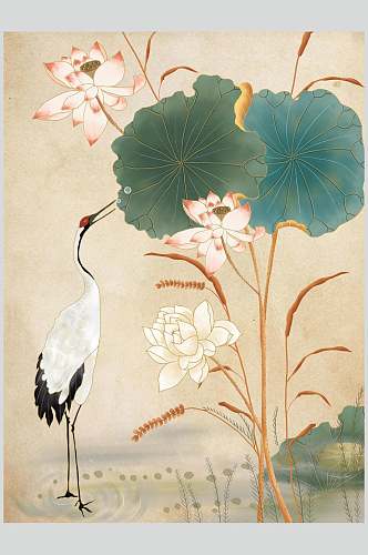 中国风仙鹤荷花插画素材