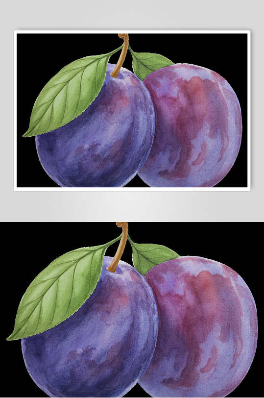 水果西梅插画矢量素材