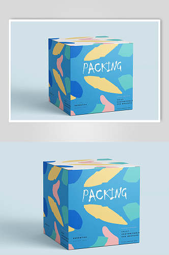 个性色彩设计包装盒包装袋设计样机