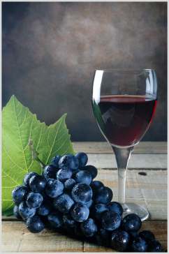 葡萄酒杯摄影图