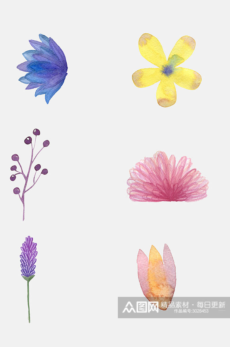 手绘鲜花花卉叶子植物免抠素材素材