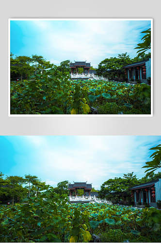 清新中国风古建筑荷花塘背景摄影图
