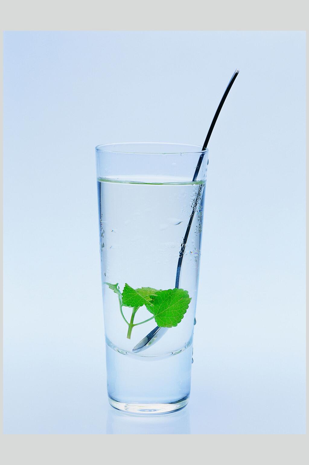 薄荷茶水摄影图素材