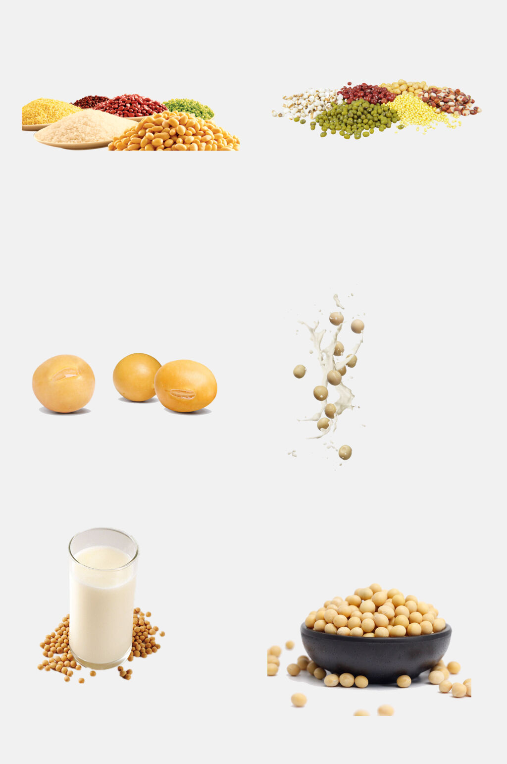 高端黄豆豆类免抠素材素材