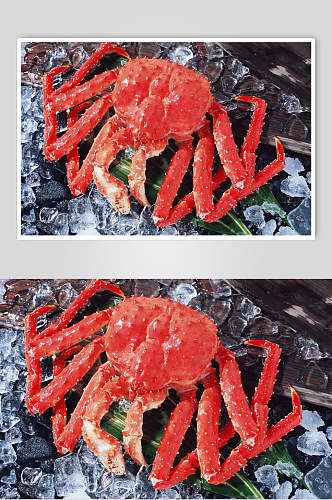 鲜香帝王蟹摄影图