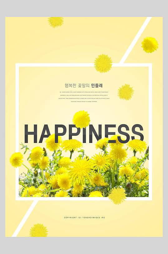 清新黄色菊花花卉宣传海报