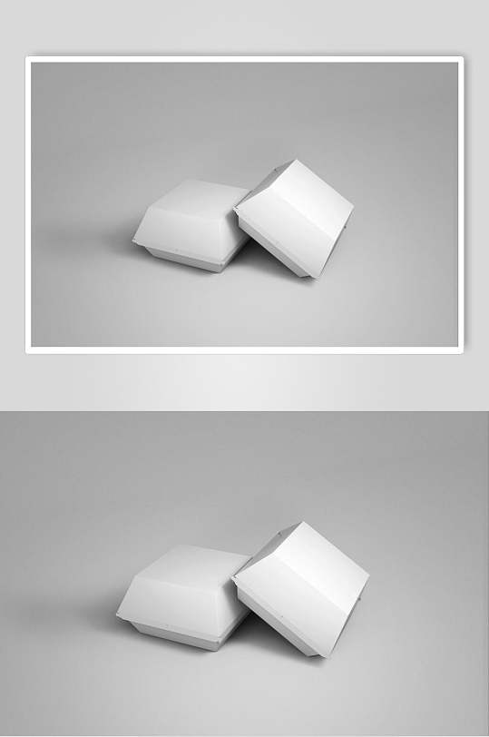 灰白清新创意大气简约食品包装样机-众图网