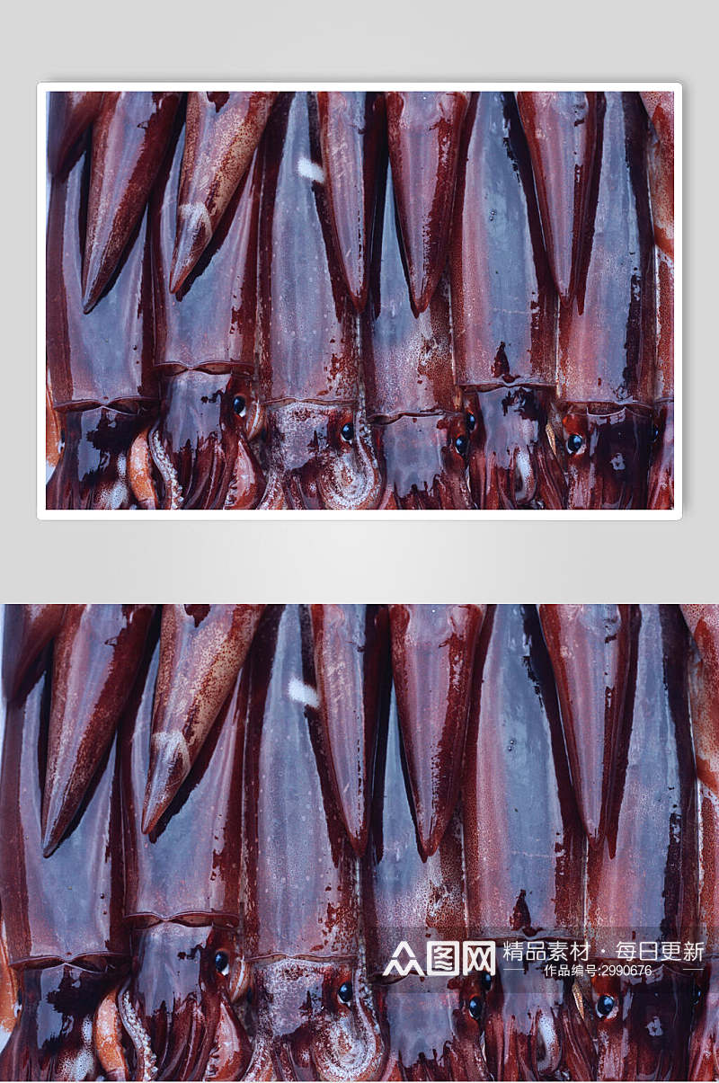 生鲜海鲜鱿鱼摄影图素材