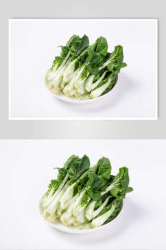 精品白菜蔬菜图片