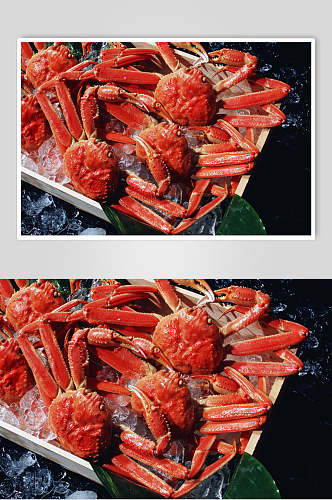 新鲜海鲜帝王蟹摄影图
