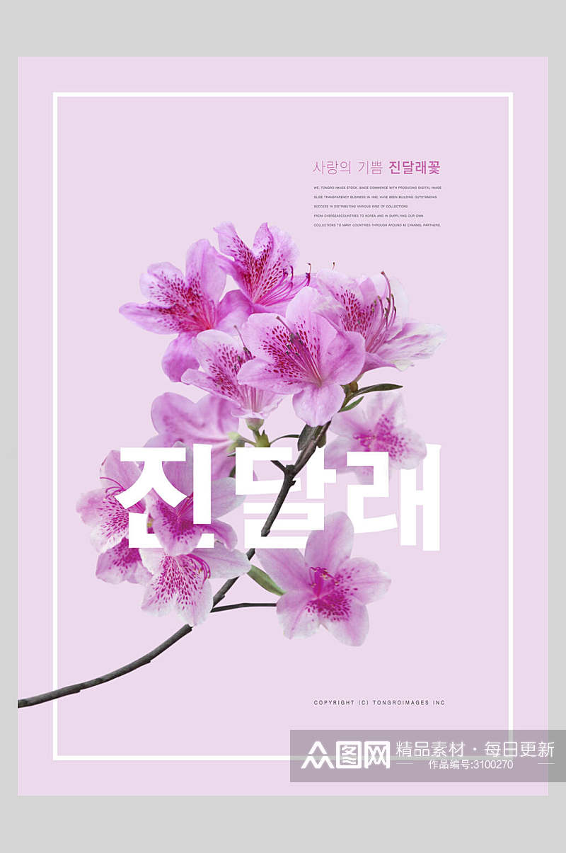 时尚紫色清新花卉设计海报素材