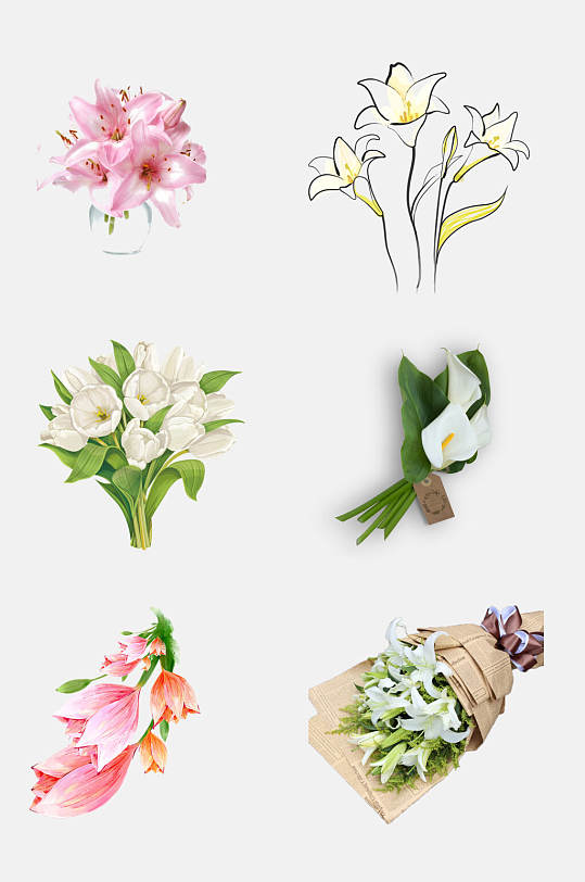 唯美百合花花朵免抠素材