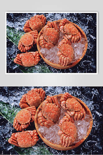 海鲜帝王蟹摄影图