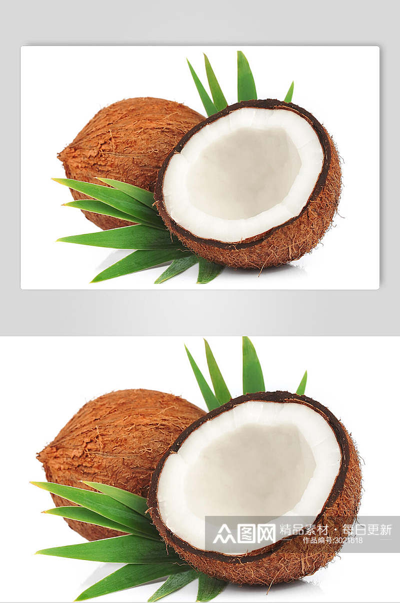 椰子蔬菜水果食物图片素材