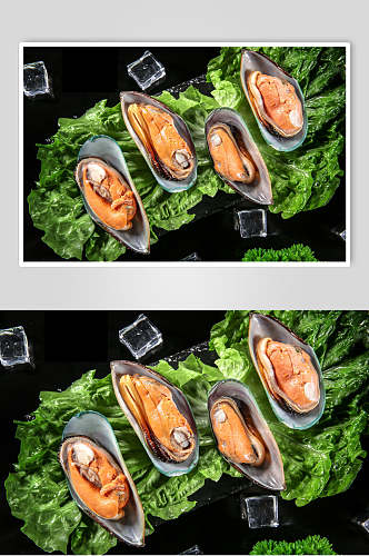 精品海鲜蛤喇摄影图