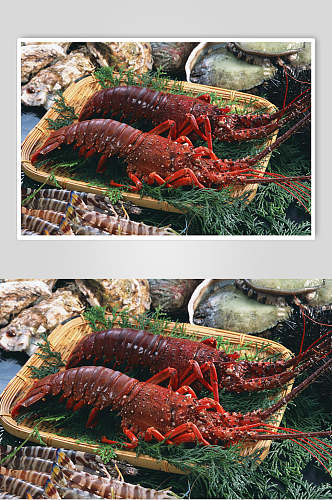 海鲜大龙虾摄影图