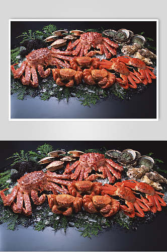 新鲜美味帝王蟹摄影图
