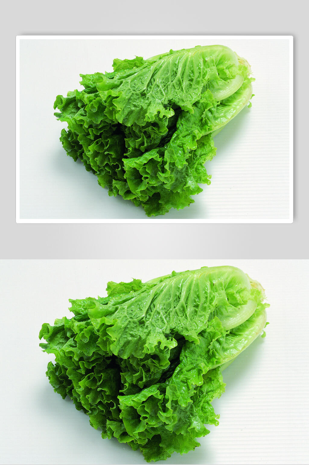 生菜蔬菜水果食物图片素材
