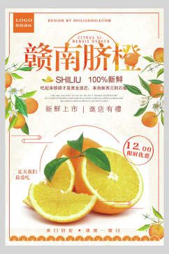 新鲜上市赣南脐橙水果促销海报