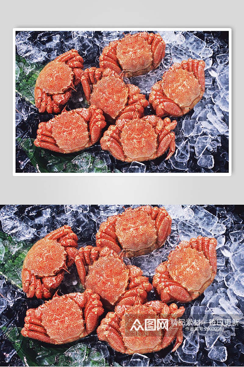 新鲜帝王蟹摄影图素材