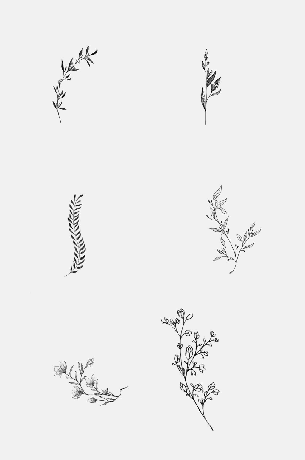 简约树枝动植物免抠素材素材
