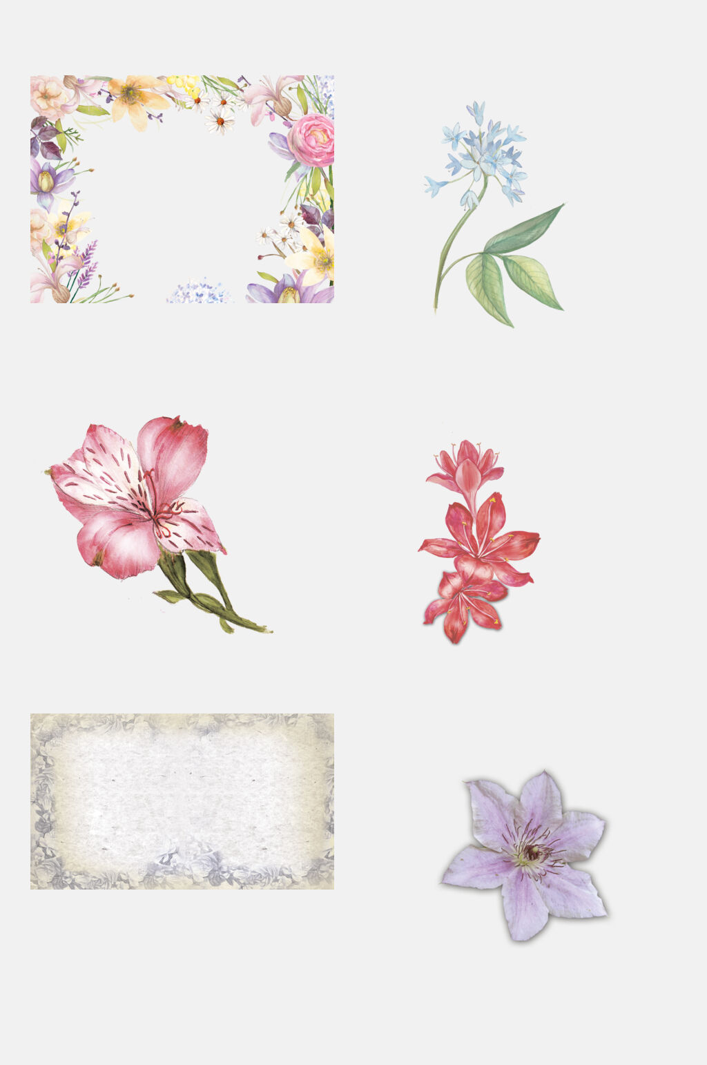 水彩渐变鲜花花朵植物纹样免抠素材素材