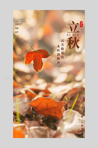 叶子落叶立秋节气手机海报