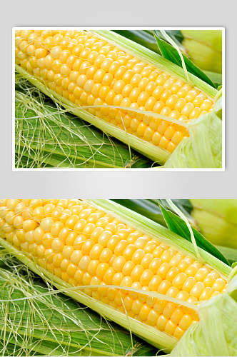 招牌玉米蔬菜水果食物高清图片