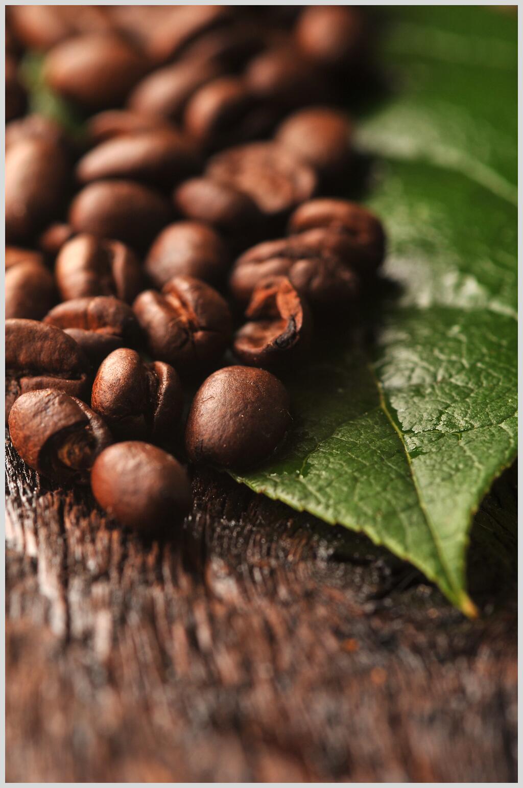 鲜香巧克力豆图片素材