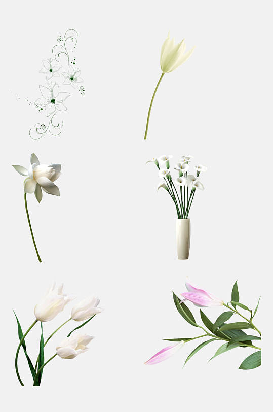 鲜花百合花花朵免抠素材